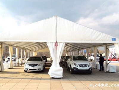 车展篷房 车展篷房