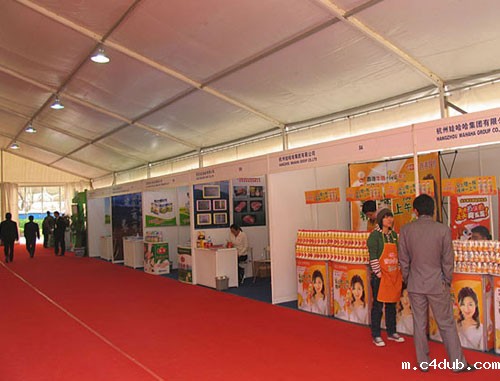 展览帐篷 展览帐篷